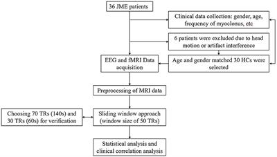 Altered dynamic functional connectivity of motor cerebellum with sensorimotor network and default mode network in juvenile myoclonic epilepsy